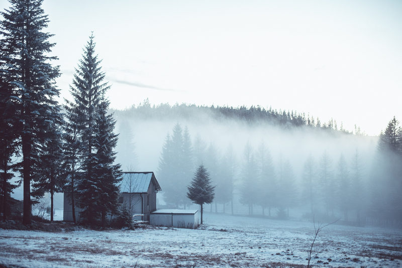 A cabin in the frost. My hands stopped working shortly after this one.
