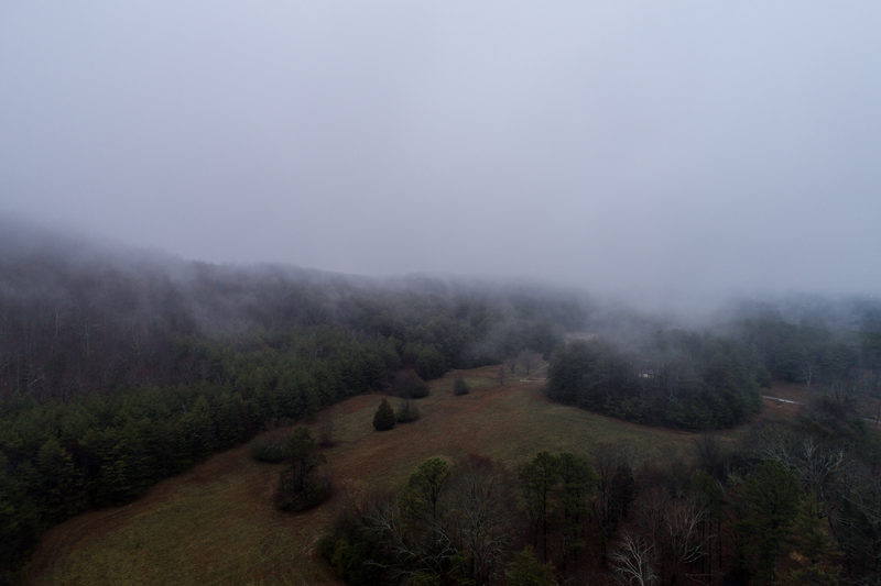 Low cloud over the pasture. It was raining on the other side of the valley.