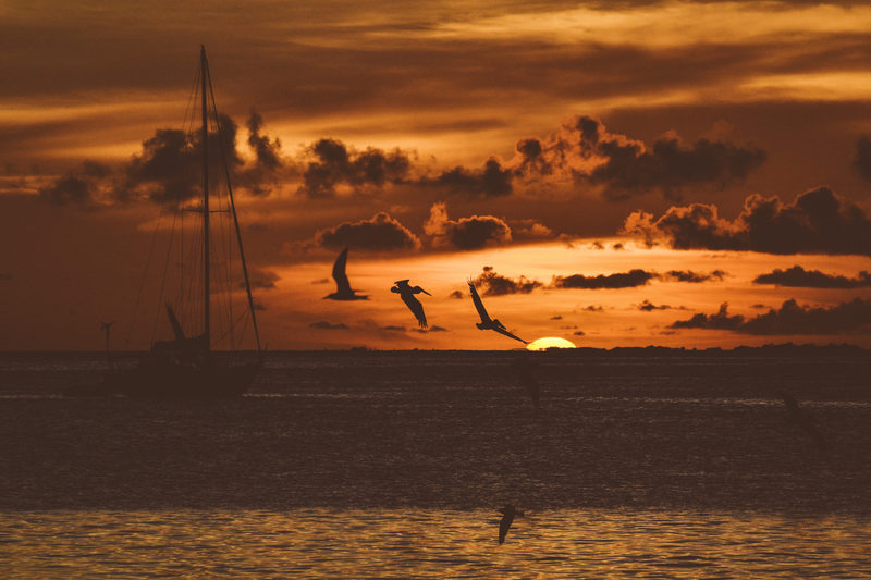 Last of the sun behind the masts. The gulls were the loudest thing in town.